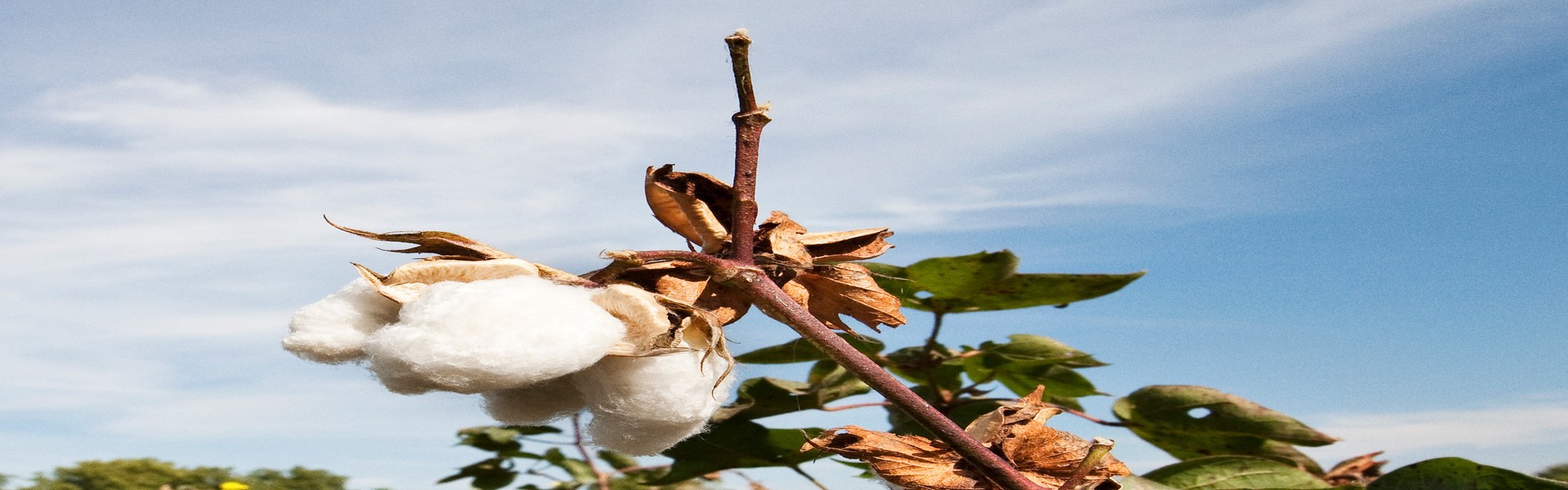 Neutral vastuullisuus