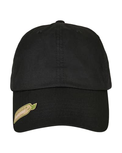 Flexfit 6245RP Recycled dad cap -lippis