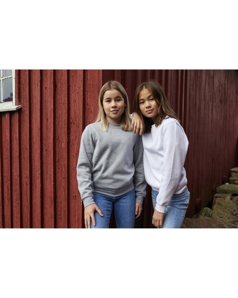 Clique Basic Roundneck lasten collegepaita – Packshot takaa
