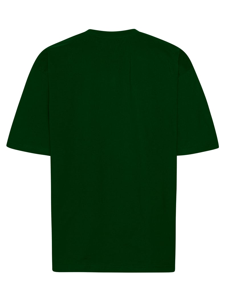 Tiger Cotton Oversized t-paita, luomupuuvilla, 220g – Packshot takaa