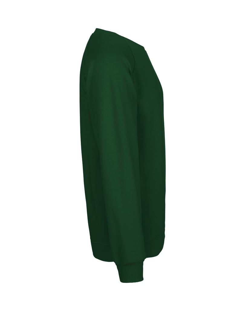 Unisex Tiger Cotton collegepaita, luomupuuvilla, 300g – Packshot takaa
