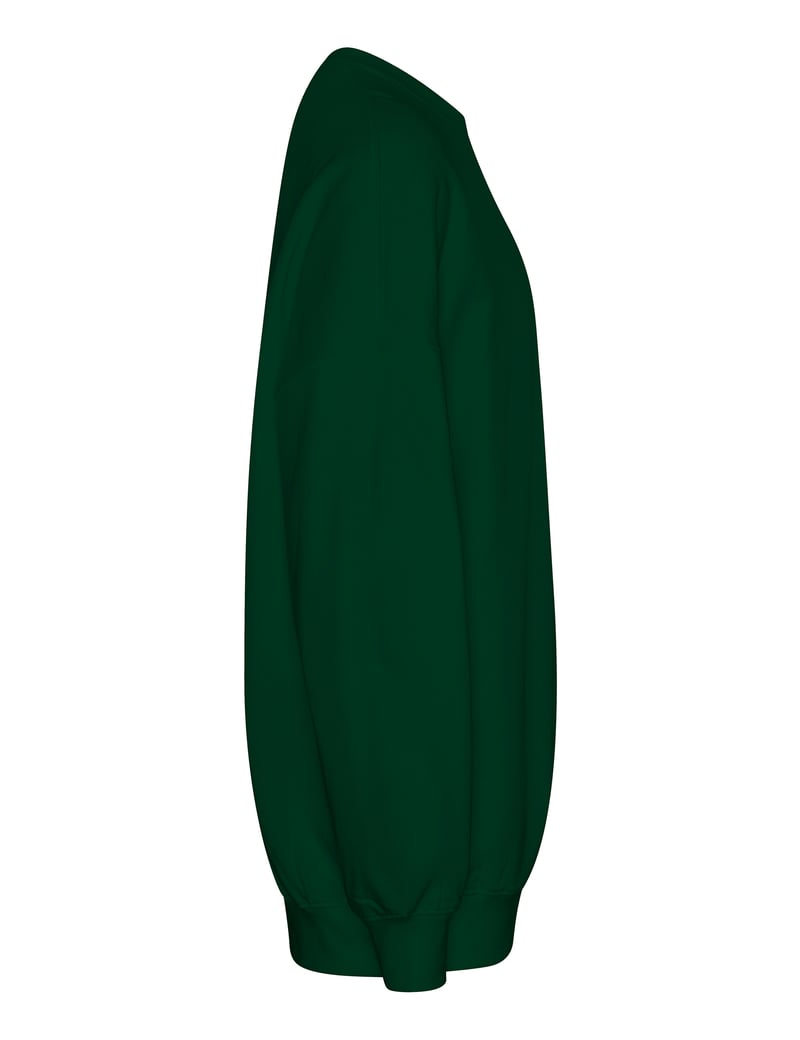 Tiger Cotton Collegepaita, luomupuuvilla, 300g – Packshot takaa