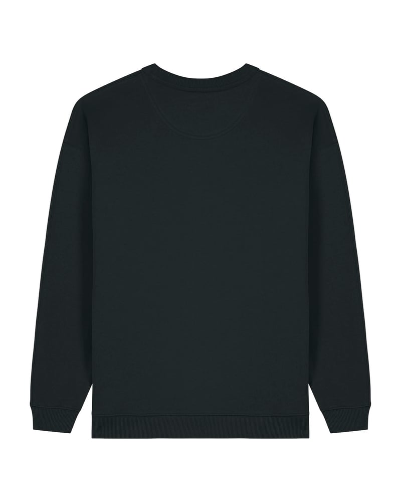 Stella Paloma naisten collegepaita, oversized, 300 g – Packshot edestä