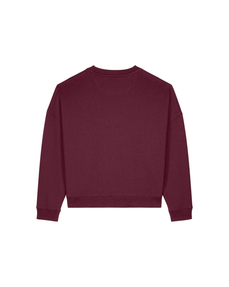 Stella Lianna naisten collegepaita, relaxed fit, 320 g – Packshot edestä