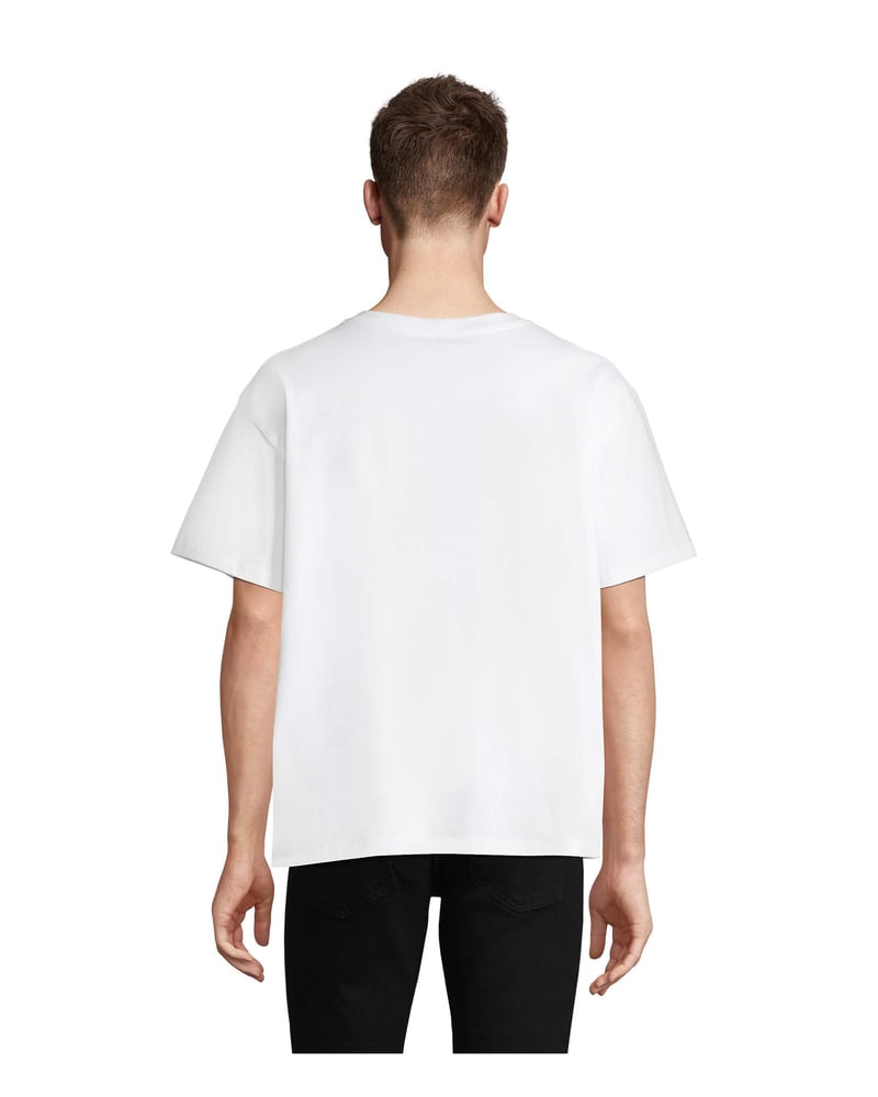 Unisex t-paita kierrätyspuuvilla 180 g — Sol's Legacy – Packshot edestä