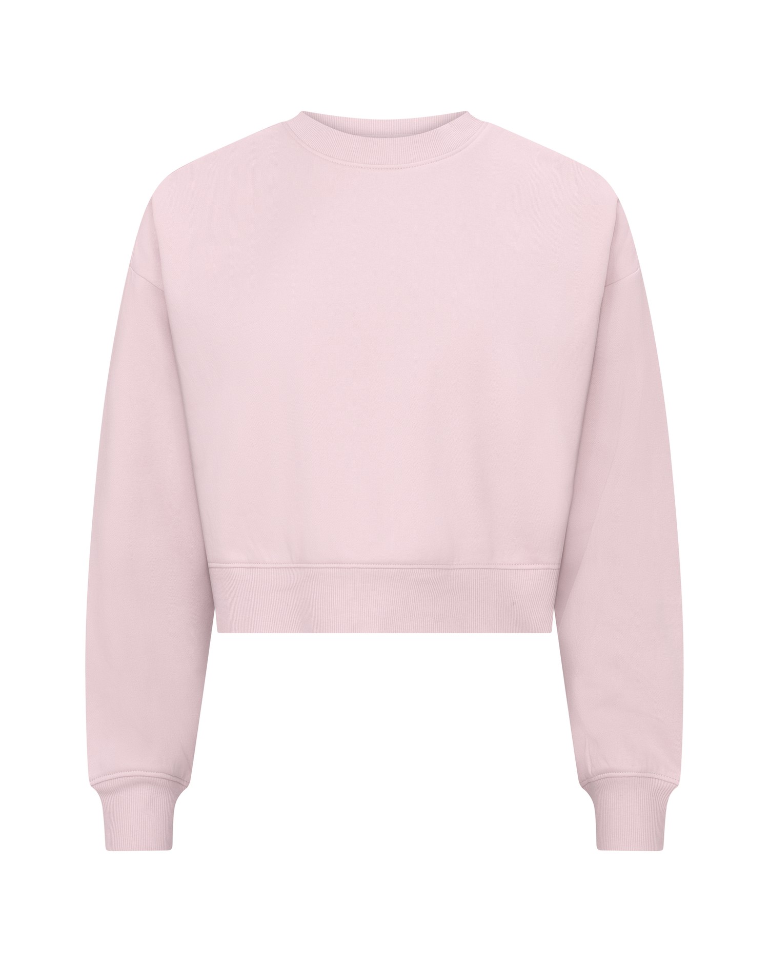 Clique Miami Cropped naisten collegepaita